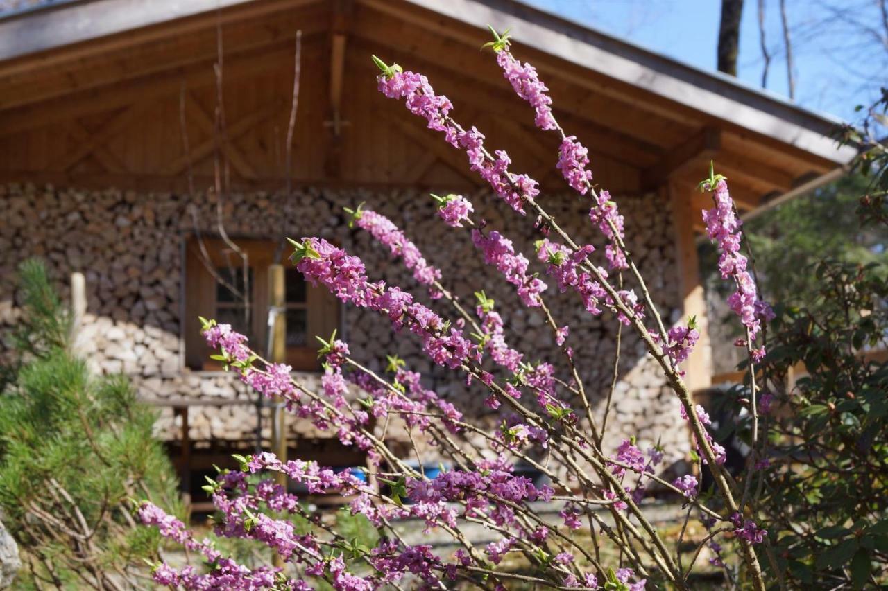 Ferienhaus Waldwinkl Hotel Grainau Bagian luar foto